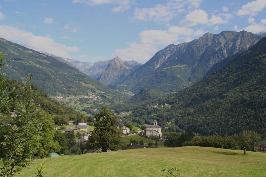Chi siamo